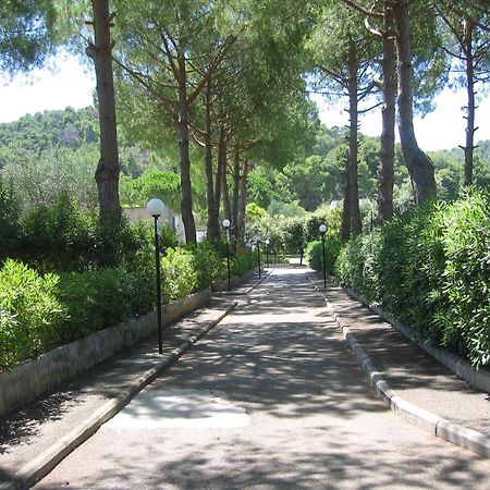 Hotel Mira Peschici Esterno foto