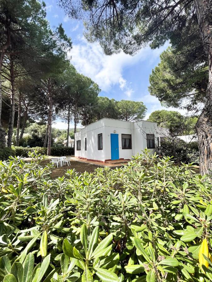 Hotel Mira Peschici Esterno foto