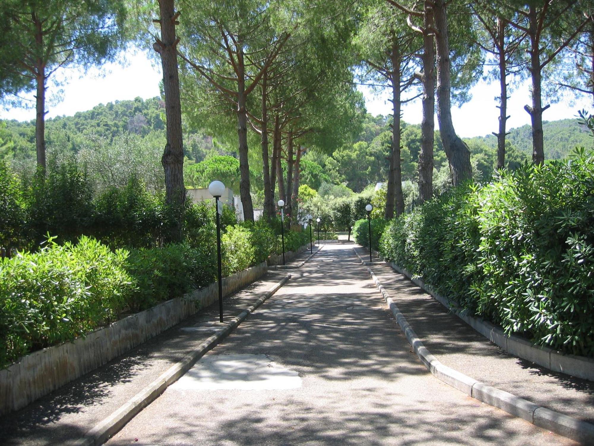 Hotel Mira Peschici Esterno foto