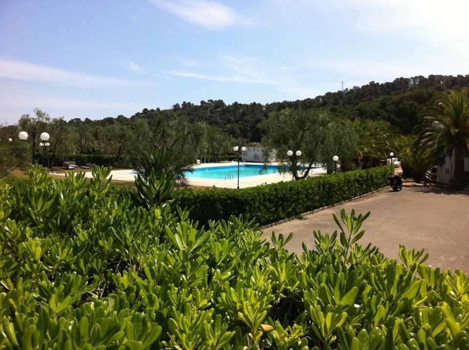 Hotel Mira Peschici Esterno foto